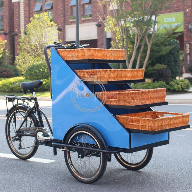 2023 High Capacity Family Cheap 3 Wheel Electric Pickup Truck for Adults Food Cargo Vending Bike Rickshaw