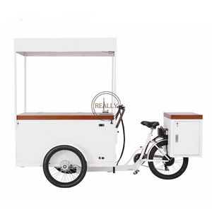 2023 Hot Selling Popsicle Display Tricycle Bicycle Cold Drinks Cargo Bikes for Mobile Ice Cream Business Solution with Water Sink