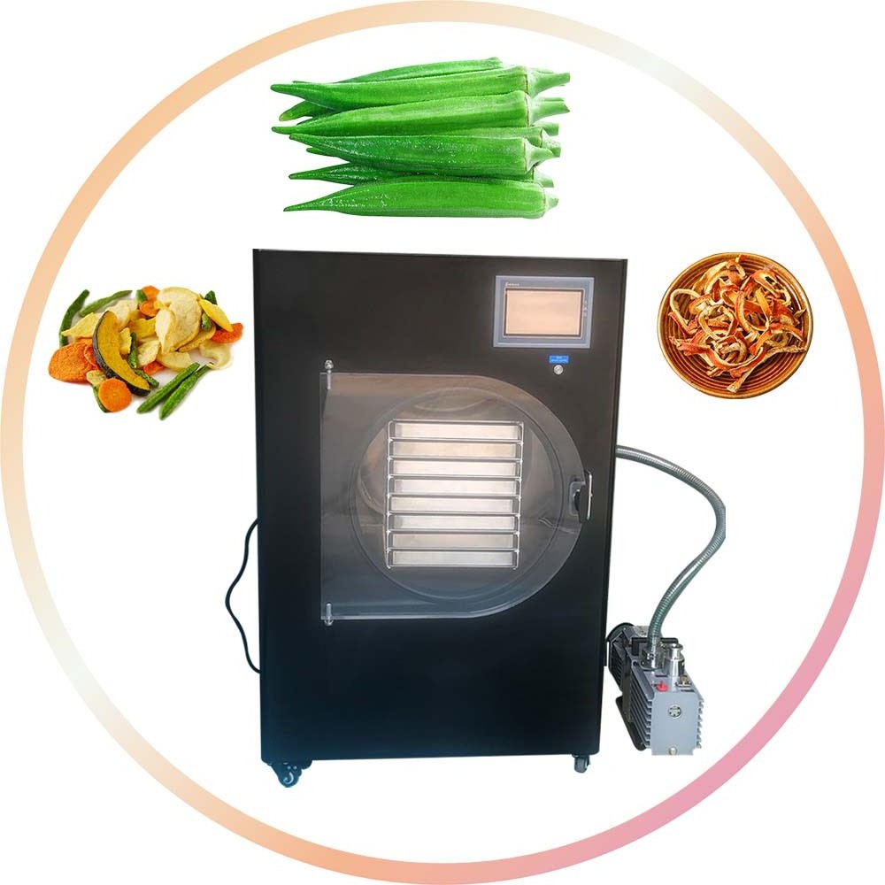 2024 Dry Freeze Equipment Vacuum Freeze Dryer For Food Price Vacuum Freeze Dryer Strawberry Fruit and Vegetable