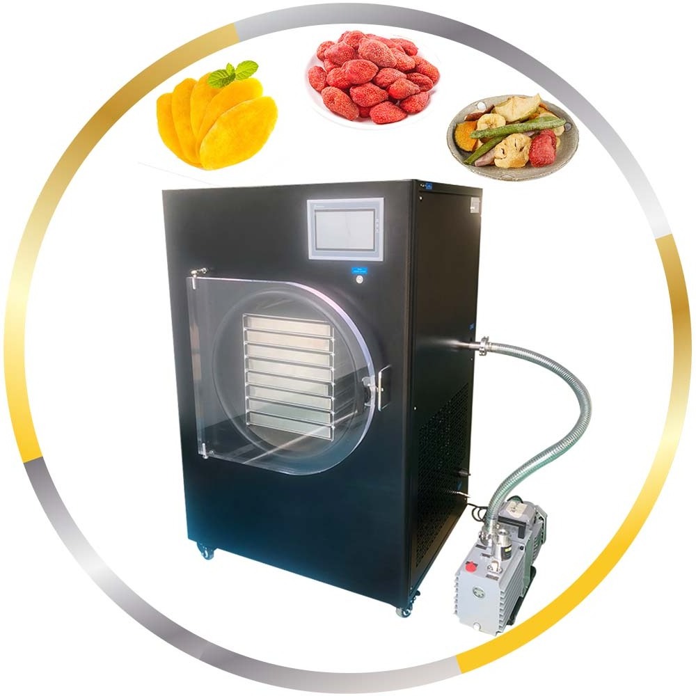 2024 Dry Freeze Equipment Vacuum Freeze Dryer For Food Price Vacuum Freeze Dryer Strawberry Fruit and Vegetable