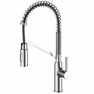 Single Handle Single Hole Pull Out Spring Kitchen Faucet With Faucet Hole Cover Kitchen Sink Faucet For Sink