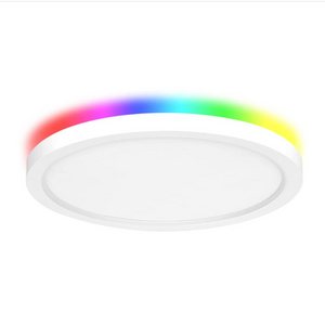 Tuya Wifi BLE Control Home RGB Voice Adjustable Smart Ceiling  Round Dimmable Switch Led Wall Smart Ceiling Lights/Celing lights