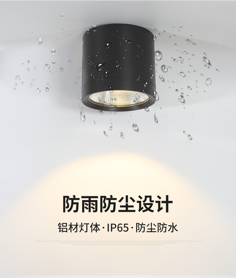 Waterproof Ip65 Surface Mounted Spotlight Down Light Spot Lamp Cob 7W 12W 20W 30W Outdoor Balcony Terrace Ceiling Led Downlight