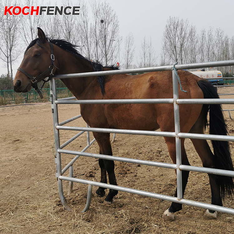 Goat Farm Animal Gate Fence / Sheep Horse Stable Livestock Panels / Galvanized Used Cattle Corral Fencing