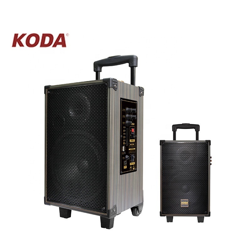 Dj Music studio powered stage portable rechargeable active trolley creative speaker with Micro