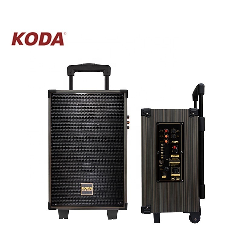 Dj Music studio powered stage portable rechargeable active trolley creative speaker with Micro