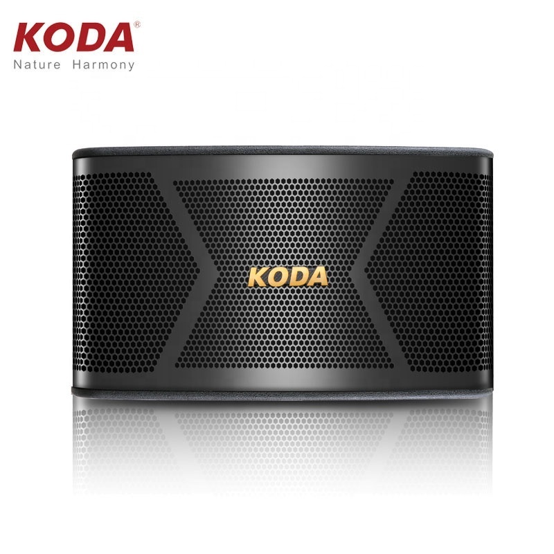 High quality speakers audio system sound pair box for KTV /dj/meeting room KT-10D