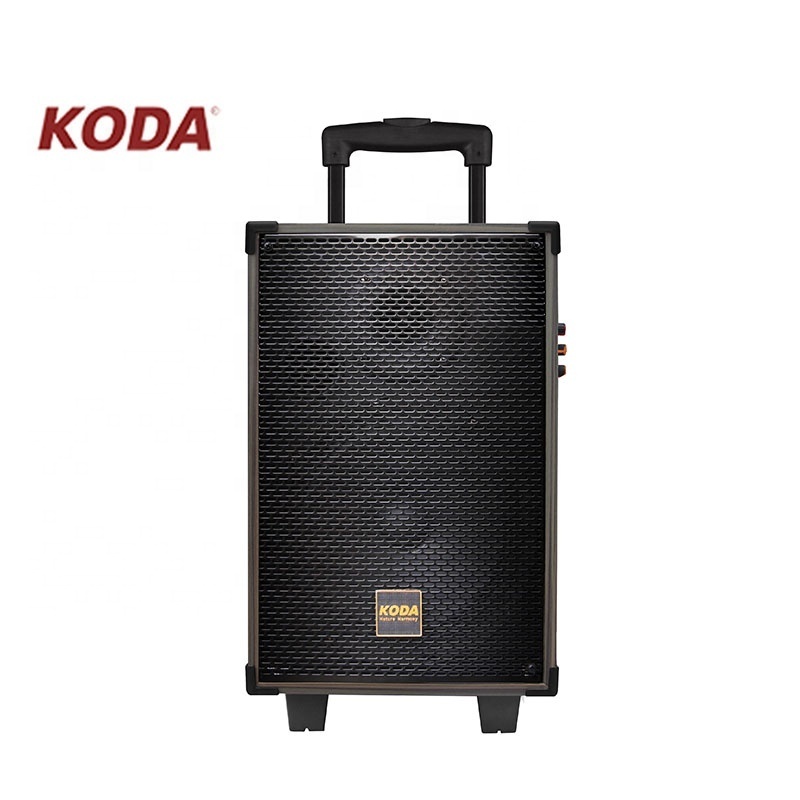 Dj Music studio powered stage portable rechargeable active trolley creative speaker with Micro