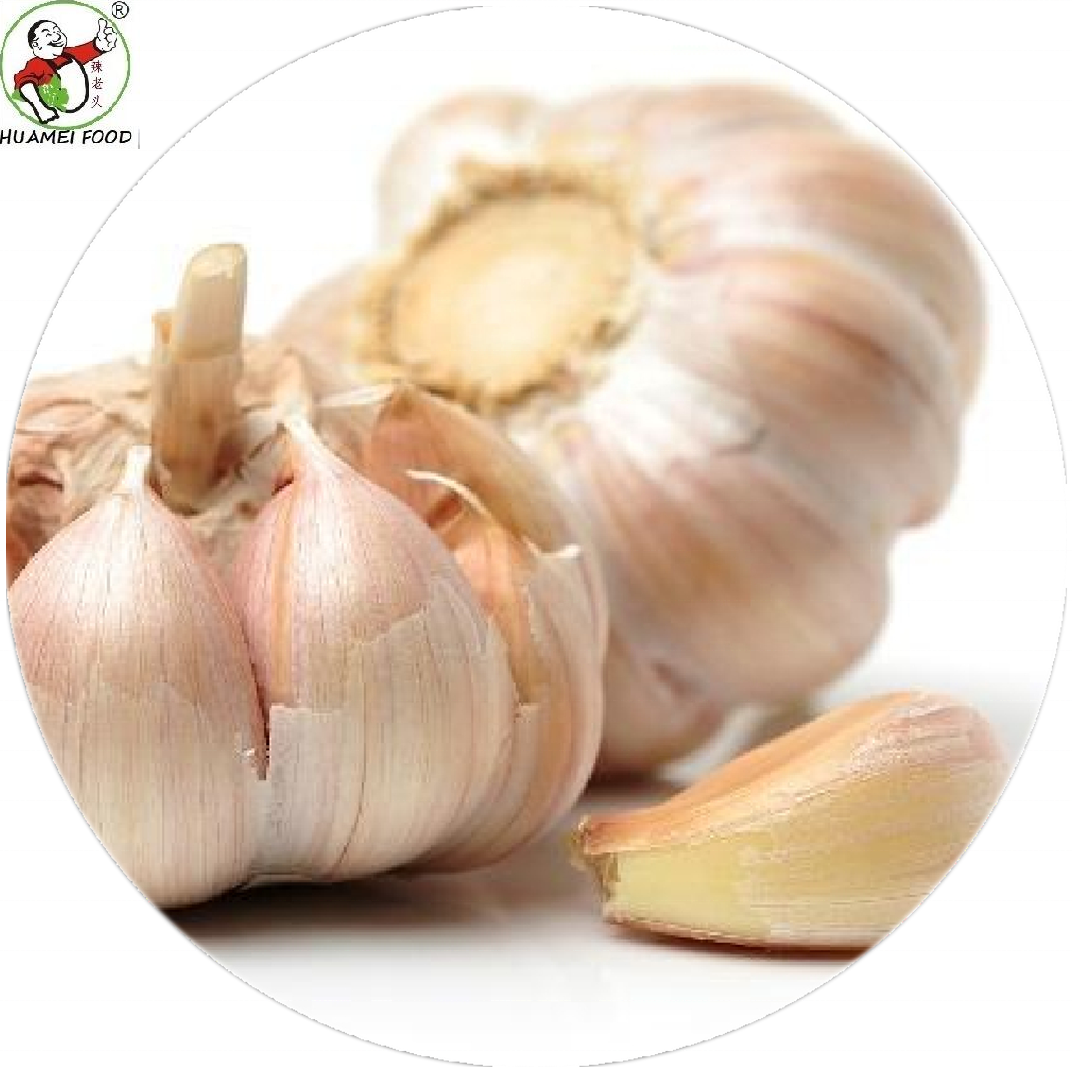 High quality IQF frozen garlic clove peeled