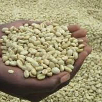 Hot Selling Ethiopian Arabica And Robusta Green Coffee Beans +27739729209