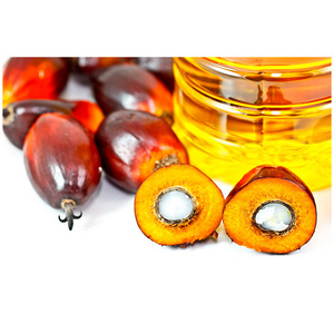 Refined Palm Oil Bottle Supplier Wholesale Production Cheap Price Edible Refined Palm Oil For Cooking