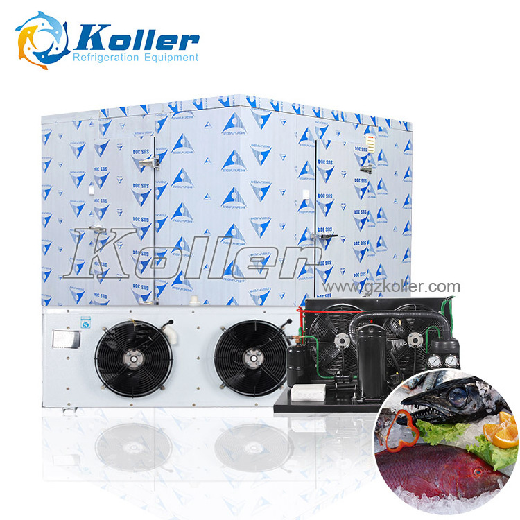 Koller 100mm insulation sandwich panel Koller refrigeration cold room for ice block cube storage