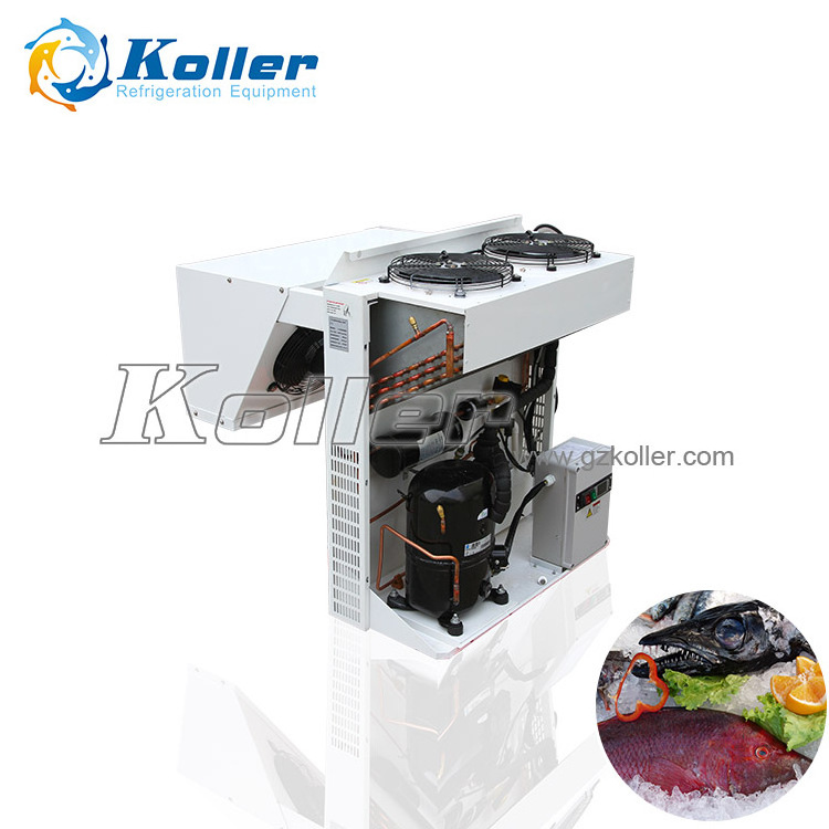 Koller walk in freezer cold storage room Koller 10cbm 3tons insulated doors cold room with energy saving for seafood storage