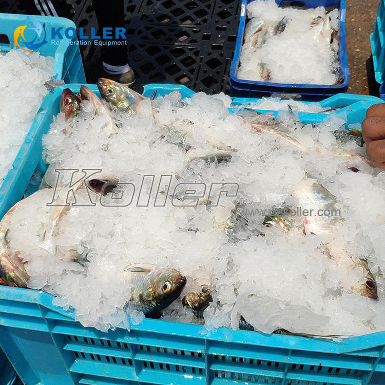 Koller 2tons Seawater Flake Ice Machine Price for Fishing Boat High Quality