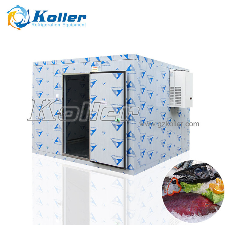 Koller 100mm insulation sandwich panel Koller refrigeration cold room for ice block cube storage