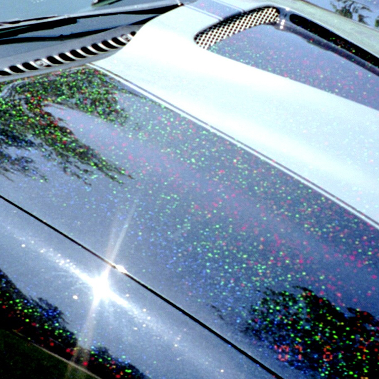 Shimmer automotive/car coating glitter pigment powder metal flake paint