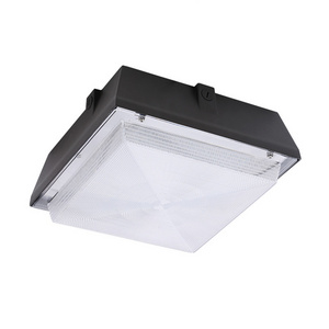 ETL/cETL & DLC 40W IP65 Indoor Lighting LED Canopy Light