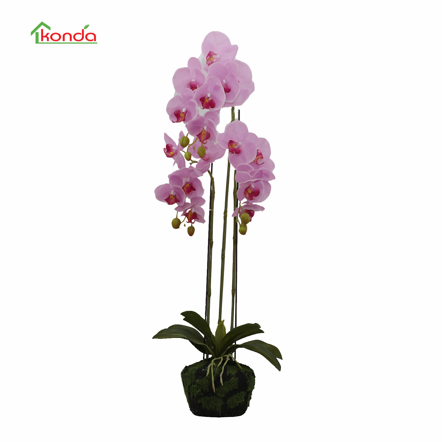 China Factory Wholesale Artificial Flowers Real Touch Home Office Decorations Artificial Butterfly Orchids Bonsai Plastic Flower