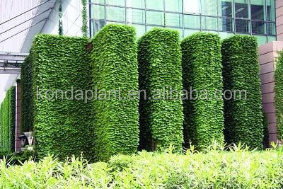 Artificial Green Wall professional design plant wall Artificial Plastic Indoor Plants Wall For Home Decoration