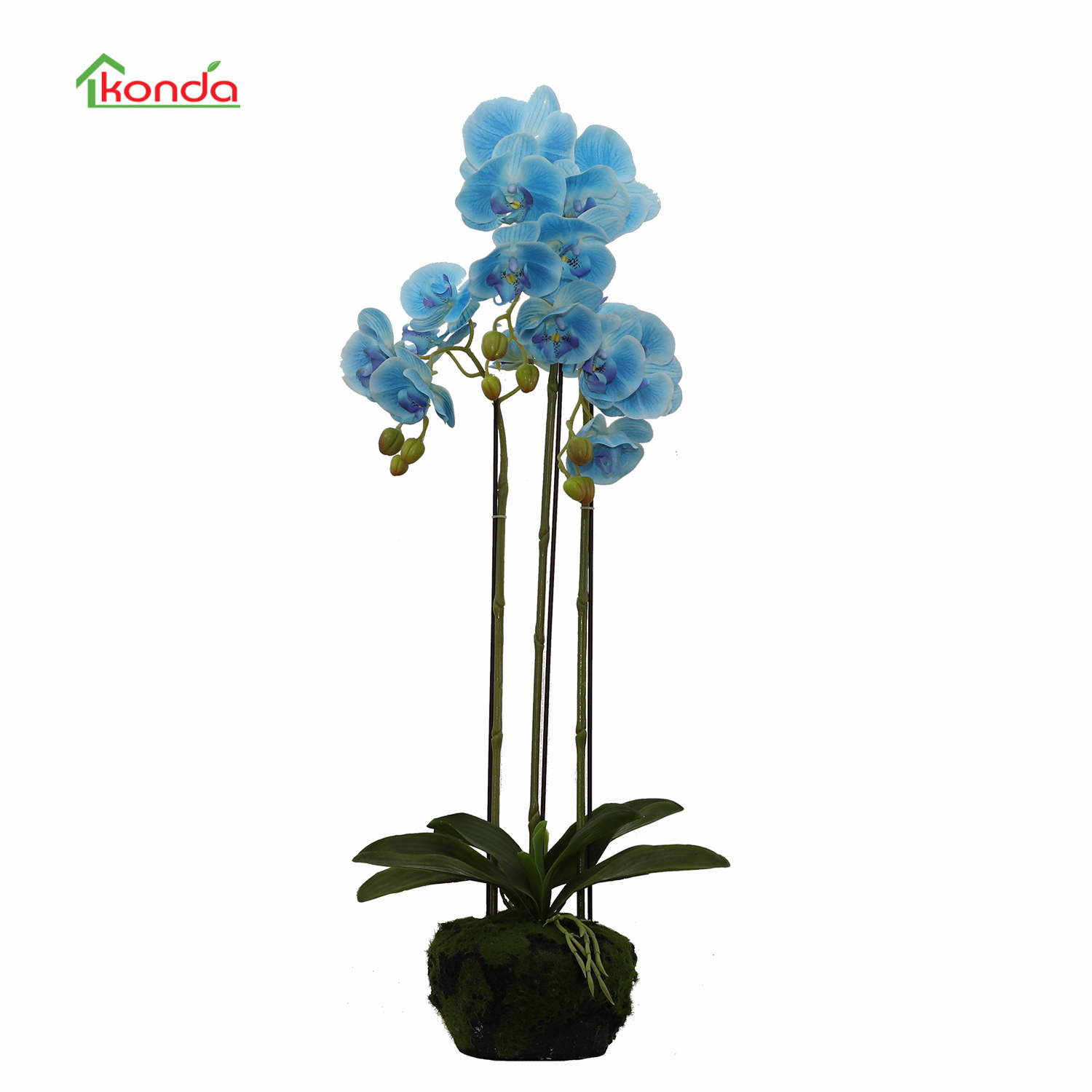 China Factory Wholesale Artificial Flowers Real Touch Home Office Decorations Artificial Butterfly Orchids Bonsai Plastic Flower