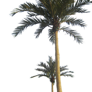 Selling Best Quality Low Price Artificial Big Date Palm Trees Artificial Plant Tree Decoration Decorative Flowers & Wreaths 1PCS