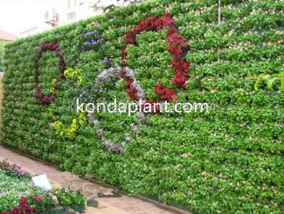 Hot sale plastic plants green wall decorative fake grass wall panel artificial wall plant Vertical Garden Greenery decor