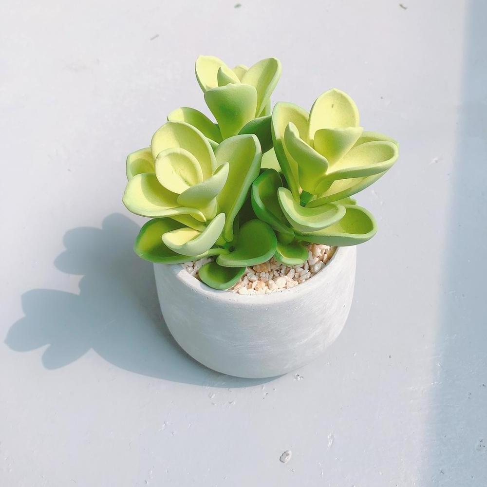 Classic homedecor plants 3 in 1 set realistic mini artificial succulent with pot for wholesale