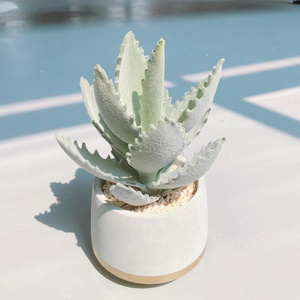 Classic homedecor plants 3 in 1 set realistic mini artificial succulent with pot for wholesale