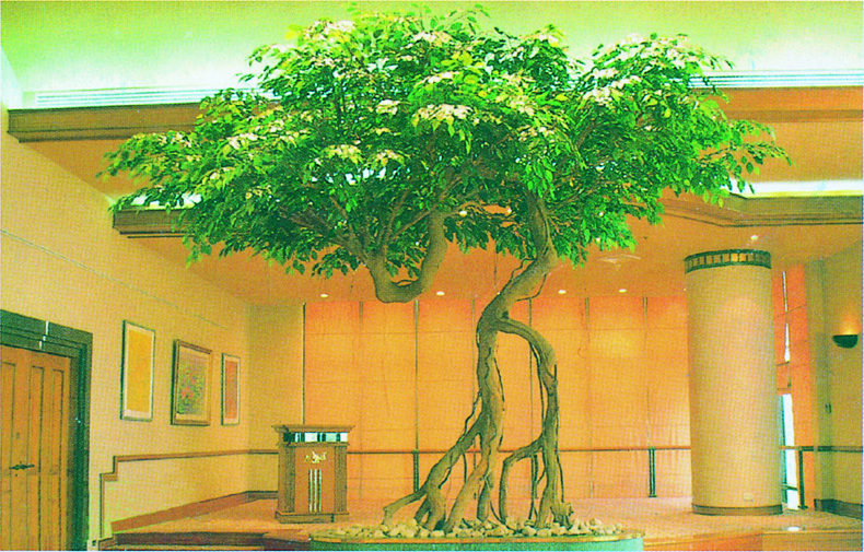 Large Artificial Banyan Tree, Tree Ficus Artificial Trees Wall Decor