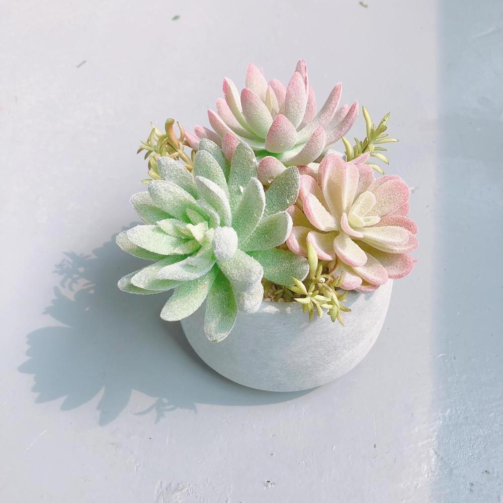 Classic homedecor plants 3 in 1 set realistic mini artificial succulent with pot for wholesale