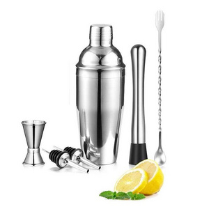 Cocktail Shaker Set ,Bartender Kit 24 oz Stainless Steel Martini Mixer Muddler Mixing Spoon jigger 2 liquor pourers