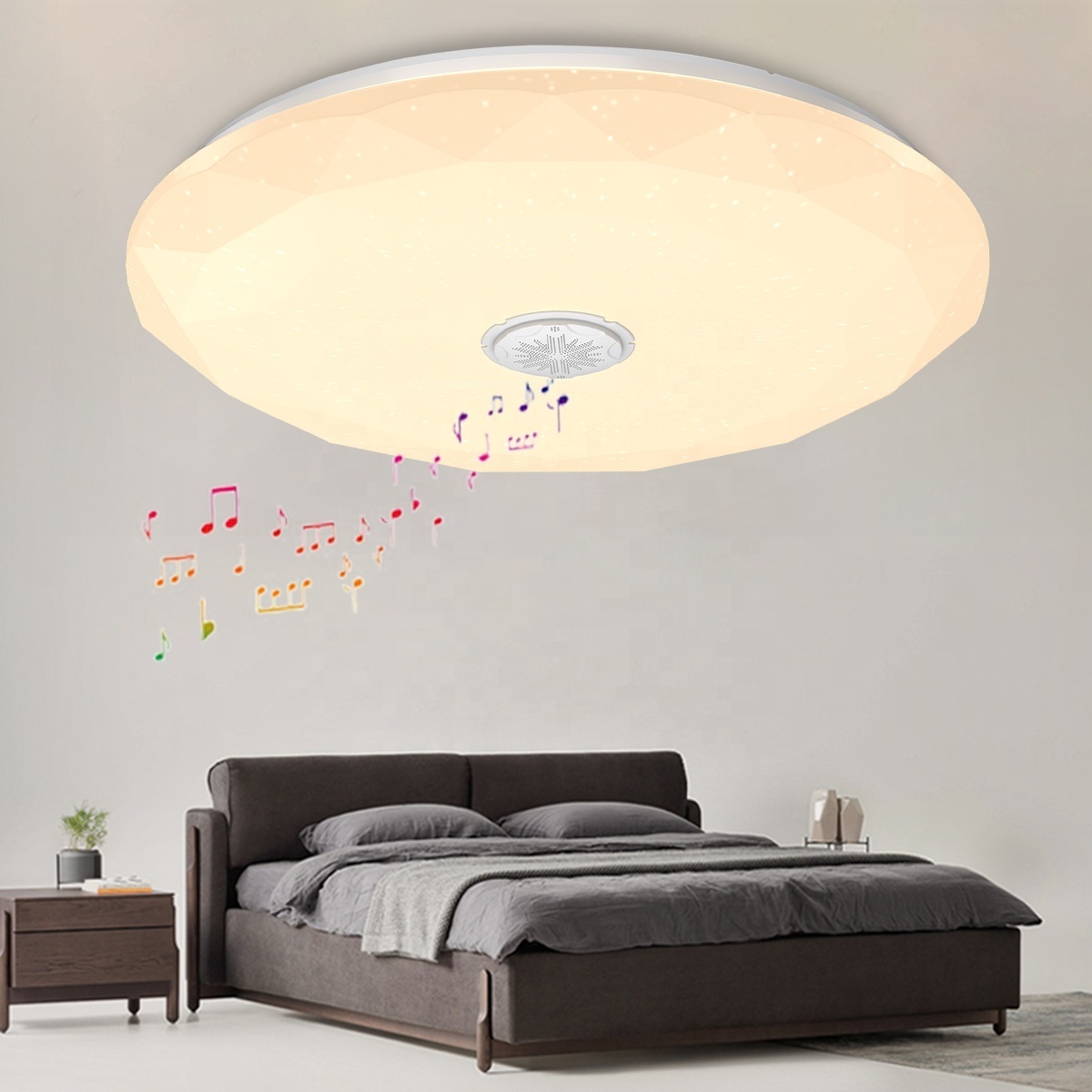 modern  cct adjustable smart triproof acrylic plastic  round voice control light flush mount modern LED indoor ceiling light