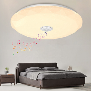 modern  cct adjustable smart triproof acrylic plastic  round voice control light flush mount modern LED indoor ceiling light