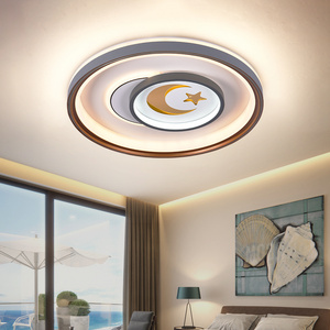 Indoor Lighting Round Ceiling Lights Flush Mount CCT adjustable  High lumen Surface Mount Remote Control Ceiling Lamps