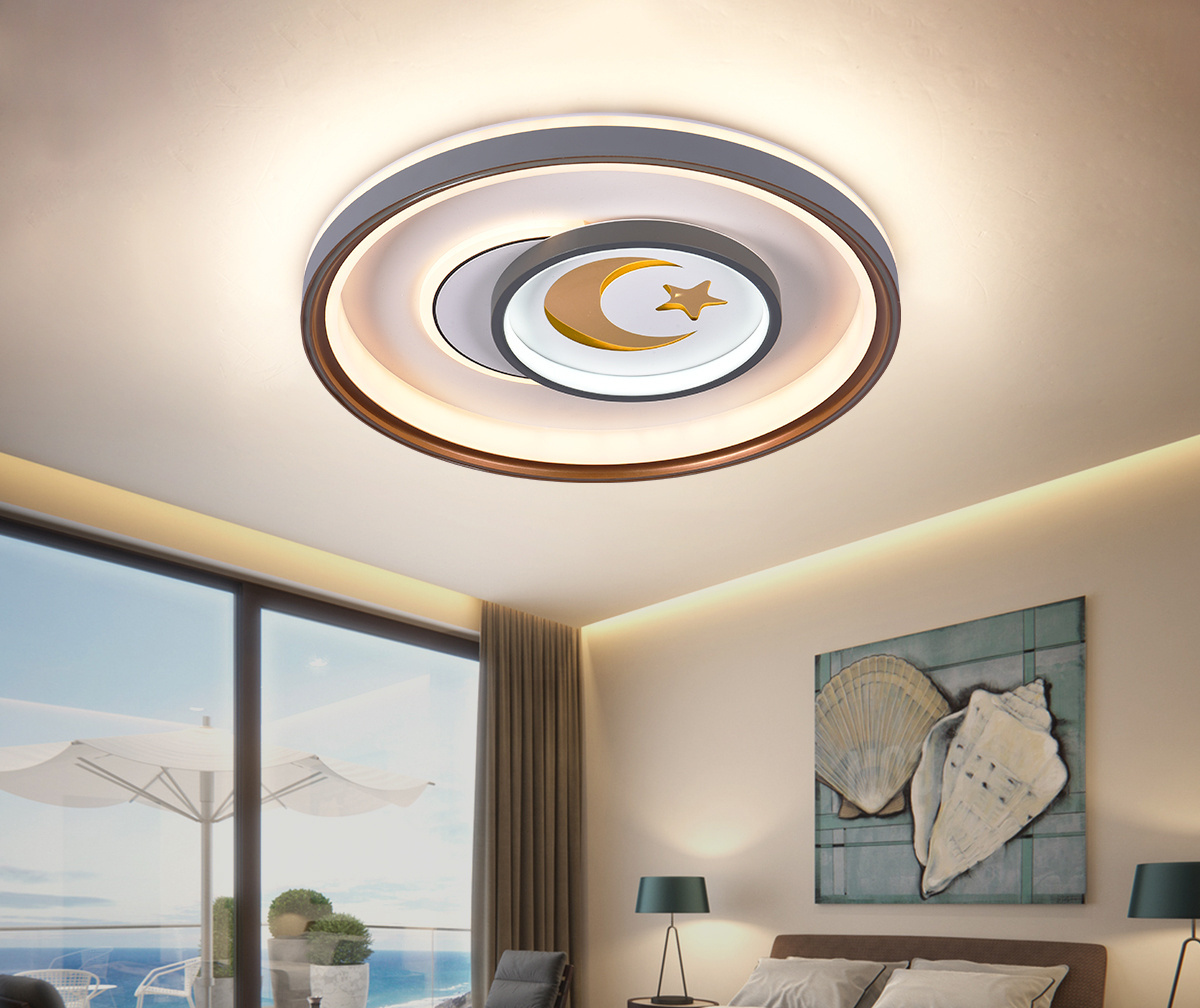 Indoor Lighting Round Ceiling Lights Flush Mount CCT adjustable  High lumen Surface Mount Remote Control Ceiling Lamps