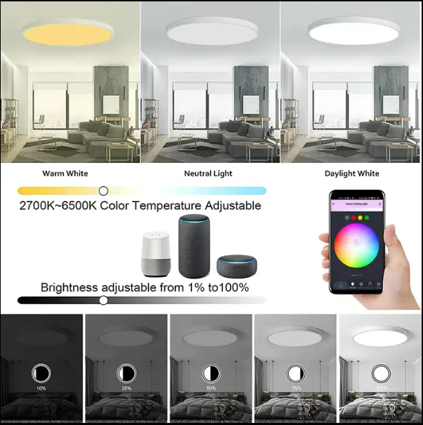 Tuya Alexa Voice Control CE RoHs Modern Ultra-thin  Round Acrylic RGB Dimmable 3000K-6500K CCT Adjustable 24W LED Ceiling Light