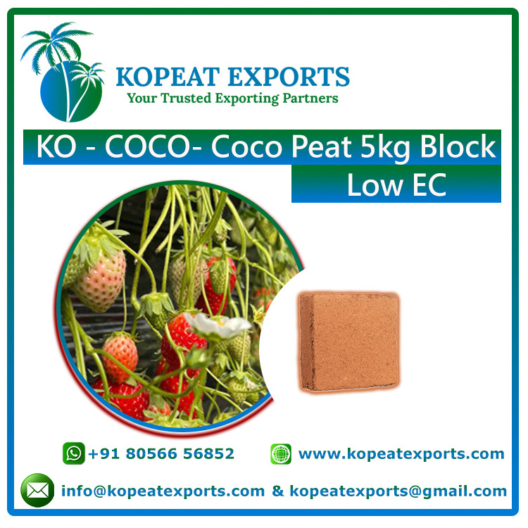 Mexican Special Recyclable Pellet For Mexico Best Quality At Best Price Low Price Bulk Selling Coco Peat Block 5kg at Low Price