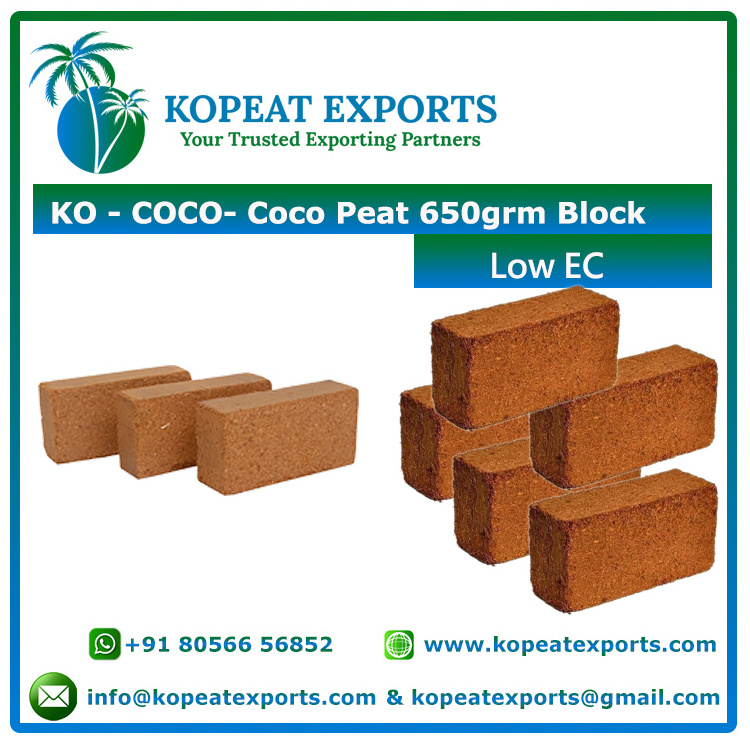 Plants 100% 5Kg Coco Peat Coir Pith Paprika Roses Peat For Green Pith Coir Bio Houses Gerbera Coconut Organic Substrate Growing