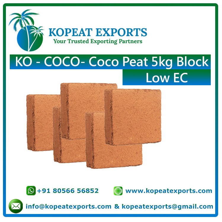 Mexican Special Recyclable Pellet For Mexico Best Quality At Best Price Low Price Bulk Selling Coco Peat Block 5kg at Low Price