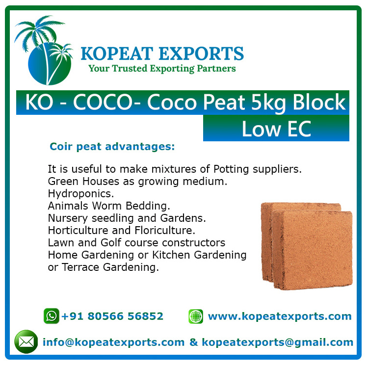 Mexican Special Recyclable Pellet For Mexico Best Quality At Best Price Low Price Bulk Selling Coco Peat Block 5kg at Low Price