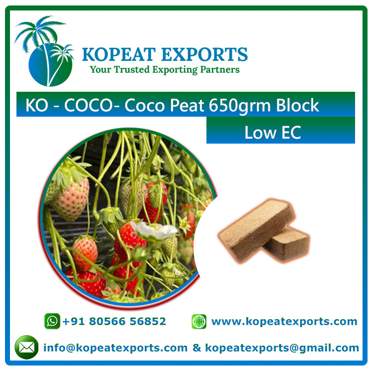 Plants 100% 5Kg Coco Peat Coir Pith Paprika Roses Peat For Green Pith Coir Bio Houses Gerbera Coconut Organic Substrate Growing