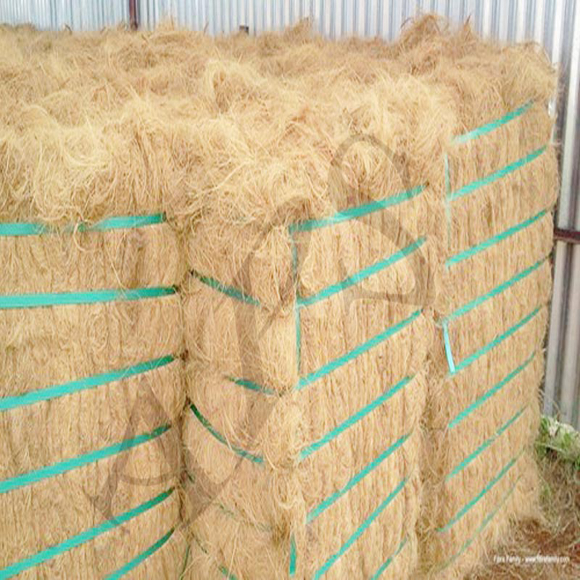 100% PureCoconut Coco Coir Fiber For Coir Industries