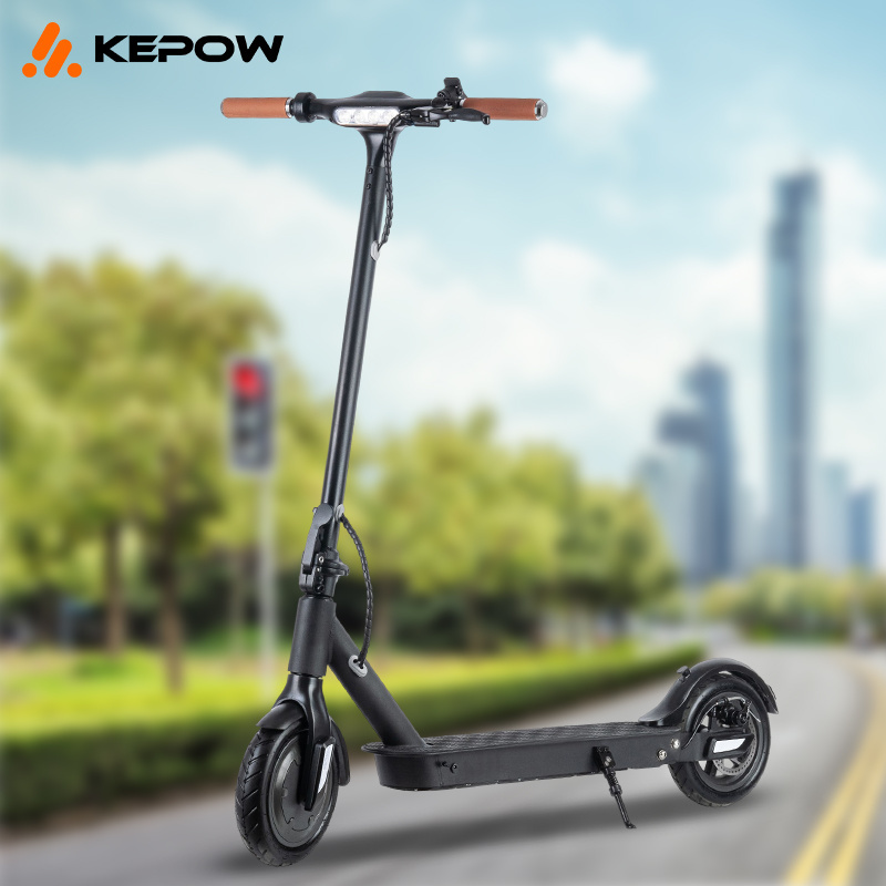 Factory Direct Selling Citycoco 2 Wheel Electric Scooter 350W Electric Scooter Adults