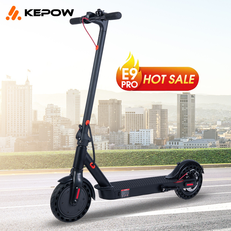 Factory Direct Selling Citycoco 2 Wheel Electric Scooter 350W Electric Scooter Adults