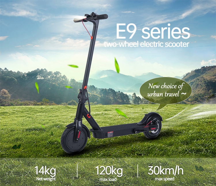 Factory Direct Selling Citycoco 2 Wheel Electric Scooter 350W Electric Scooter Adults