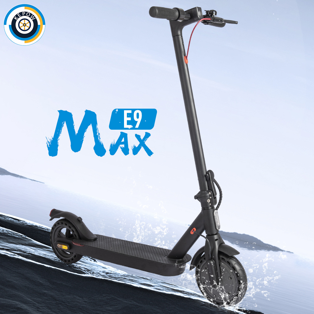 Factory Direct Selling Citycoco 2 Wheel Electric Scooter 350W Electric Scooter Adults