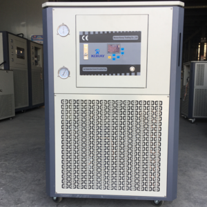 DLSB-50/80 -80C low temperature coolant circulating pump chiller for sale