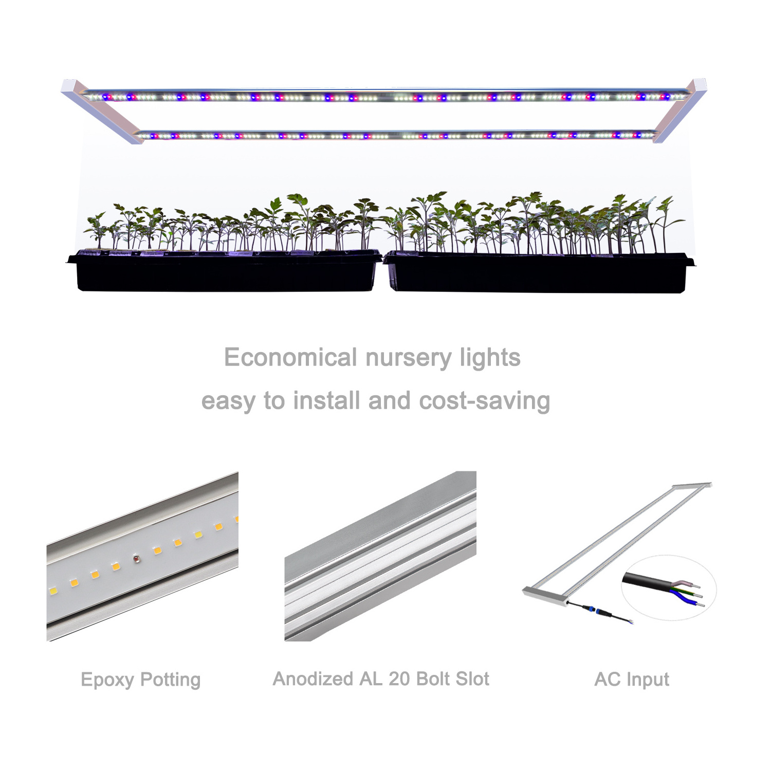 Nursery dedicated blue light seedling grow light Samsung LED grow light Easy installation and cost saving