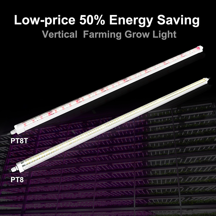 Koray PT8 Commercial Hydroponic vegetable grow lights Vertical Farming  Led Grow Tube Light 32W 36W