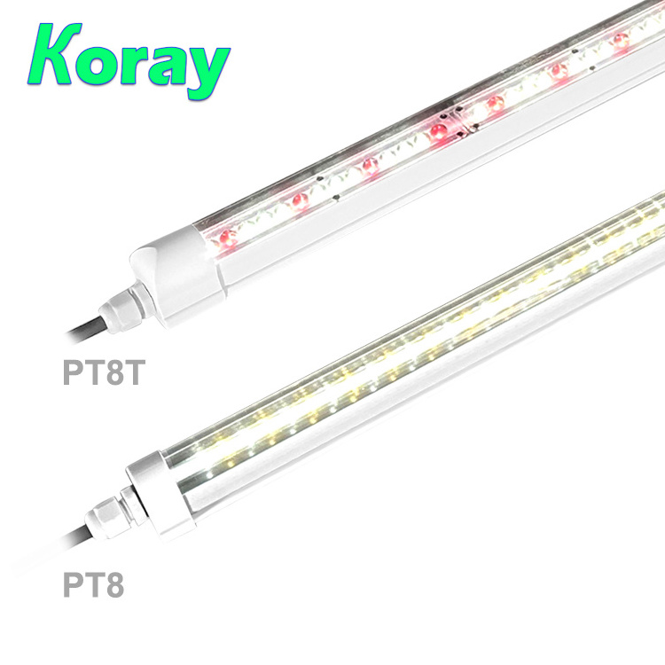 Koray PT8 Commercial Hydroponic vegetable grow lights Vertical Farming  Led Grow Tube Light 32W 36W